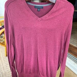Banana Republic in Deep Rose V-Neck Sweater